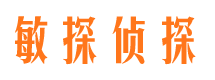 亭湖侦探